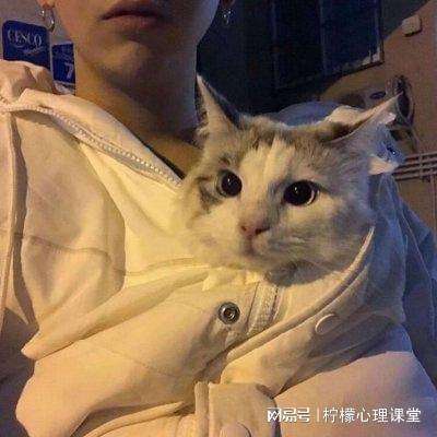 热血争霸手游私服