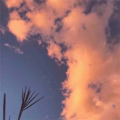 剑影聊斋内购破解版下载